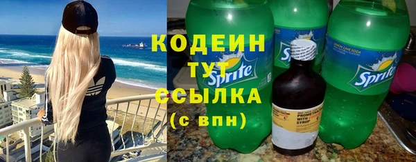 гидра Арсеньев