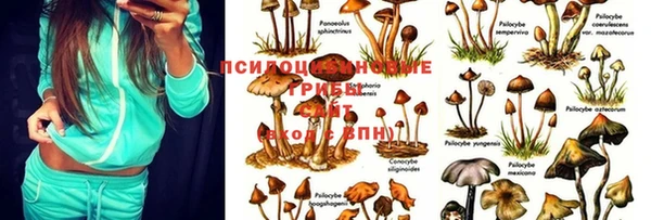 ешки Армянск