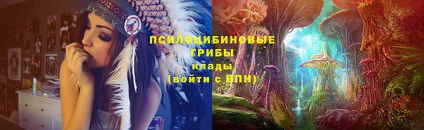 твердый Аркадак