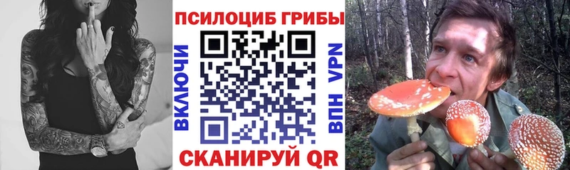 omg ONION  Касимов  Галлюциногенные грибы GOLDEN TEACHER 